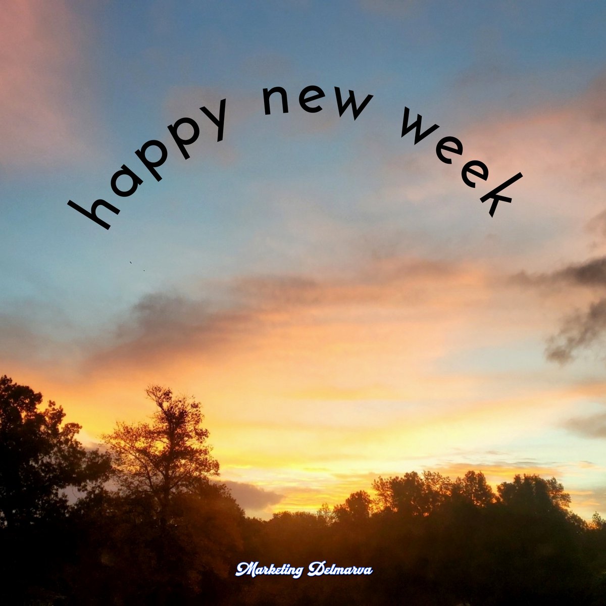 May your day be pleasant and refreshing, and wishing all a great new week ahead. #newweek #sundayvibes