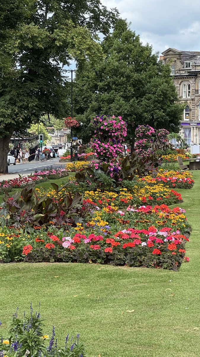 Tomorrow Monday August 11th is a very important day for Harrogate- the Britain in Bloom judges will be here seeing how lovely our town is. If you see them smile and say hello. ⁦<a href="/The_RHS/">The RHS</a>⁩ ⁦<a href="/thestrayferret/">The Stray Ferret</a>⁩ ⁦<a href="/HgteAdvertiser/">Harrogate Advertiser</a>⁩ ⁦<a href="/your_harrogate/">Your Harrogate Radio</a>⁩ ⁦
