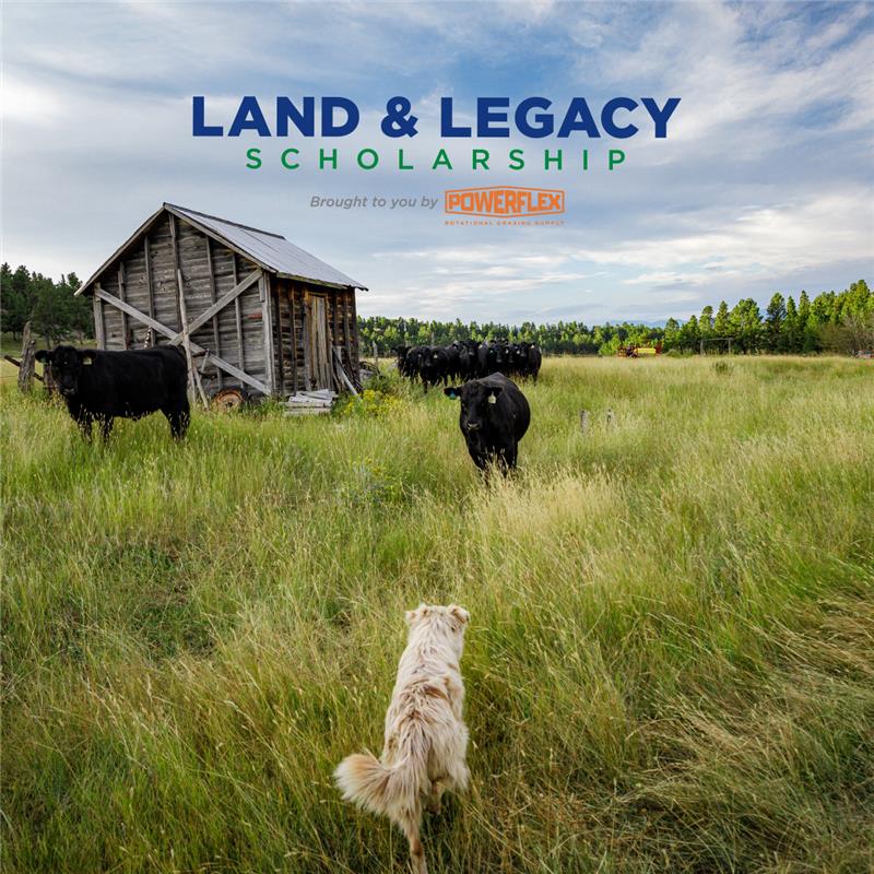 Have you applied for the Land &amp; Legacy Scholarship yet? We are opening the applications for Q4 today. Apply now and have a chance to attend a Noble course for FREE! 
 
Apply here: grazinglands.org/landandlegacys…