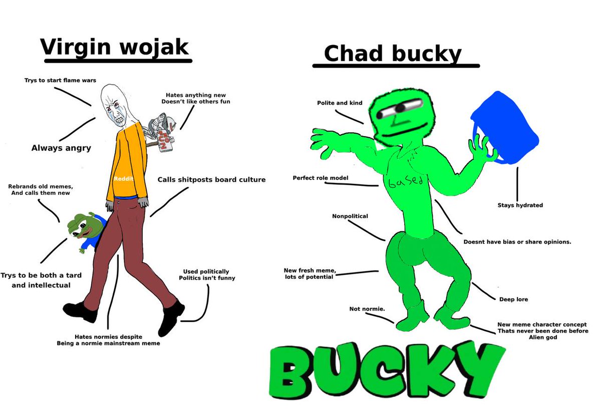 BUCKY tweet media