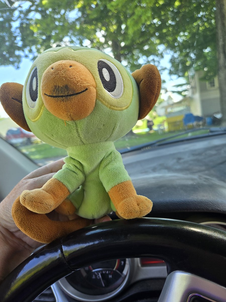 its grookey day!!!! all hail supreme ruler grookey!!!