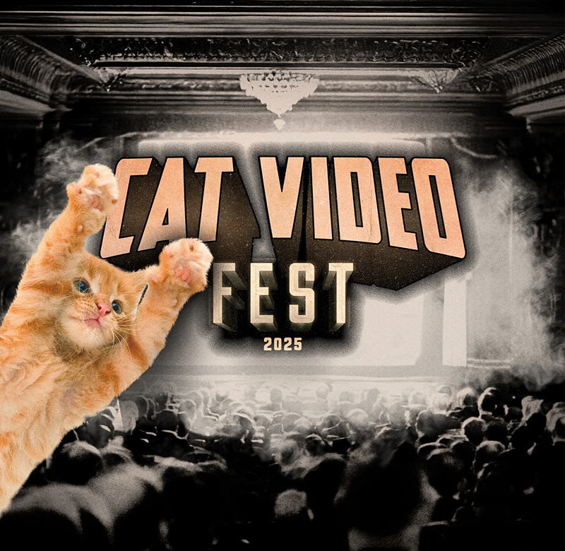 BoxOfficeReport.com tweet media