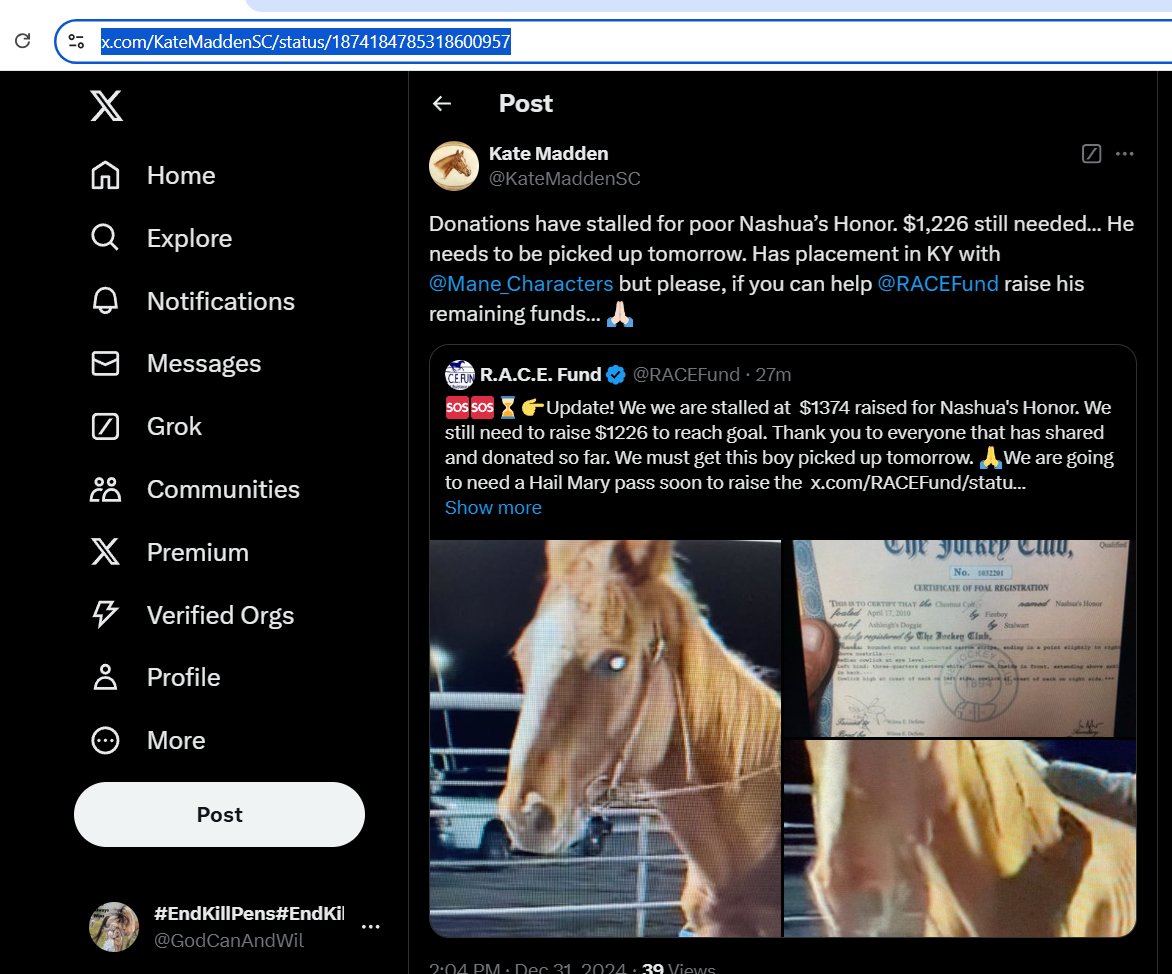 GodCanAndWil's tweet photo. To the whole world this might be one horse...but to "Nashua's Honor" - this rescue - Mane Character's - and all those who had a hand in his bail - and recovery expenses - you are his WHOLE WORLD! Thank you! #MiraclesHappenWhenYouMove XOXO #KeepBeingTheChangeYouWantToSeeInTheWorld #GoNashua #GoManeCharacters #GoEveryoneWhoHelpedShareCareAndDonate please help if you can! Every share, prayer and donation matters. XOXO ❤️🙏