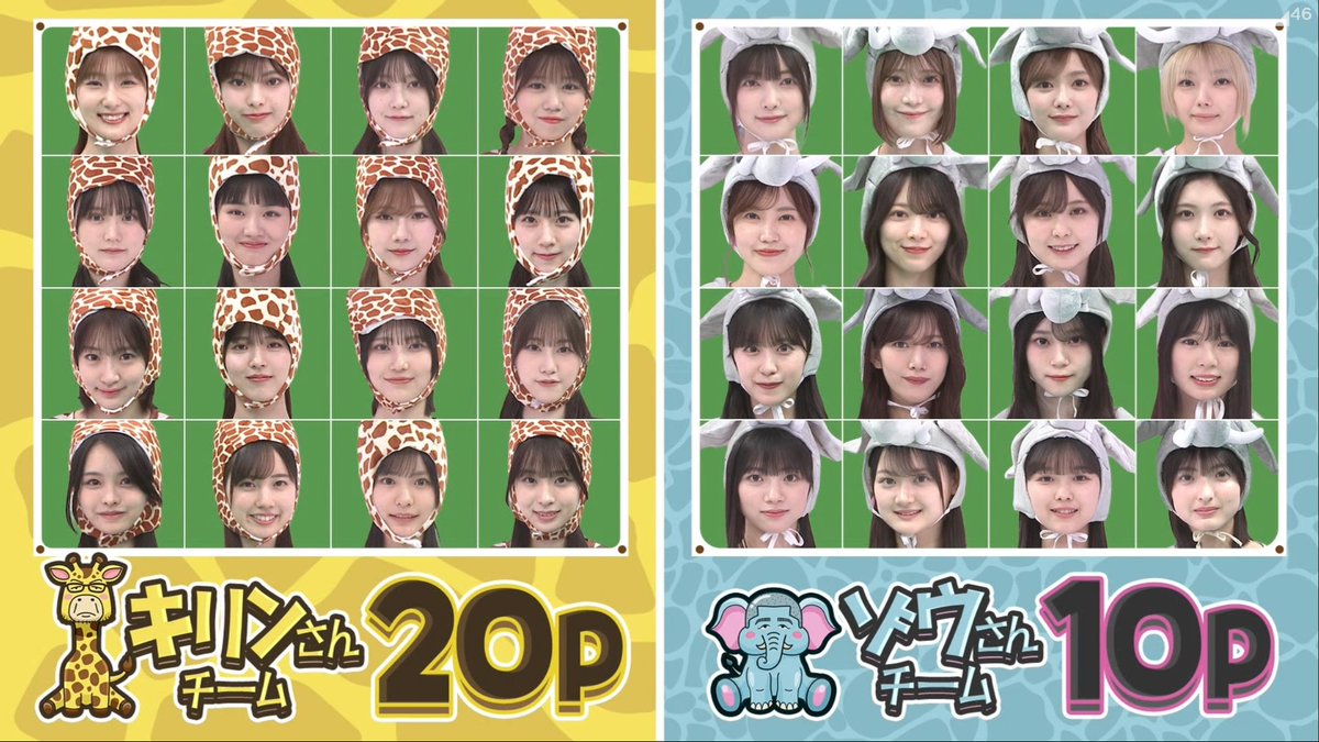 ゾウさんチーム勝利にBET #そこ曲がったら櫻坂