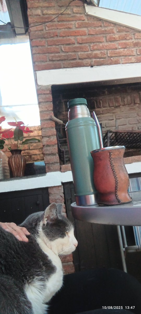 Domingueando del verbo dominguear !!😜😂