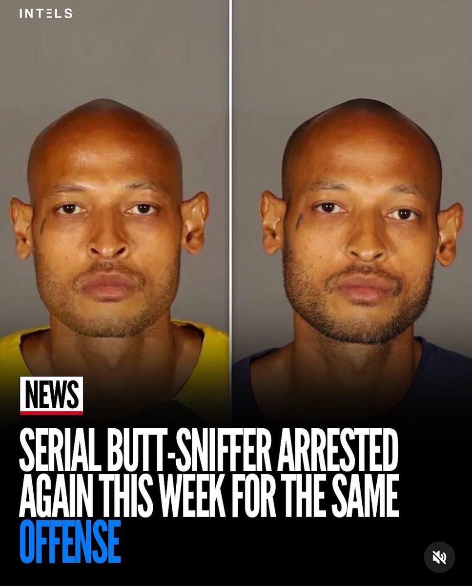 BPeebleton's tweet photo. never confine to society’s “normal”. https://t.co/7VADokqboY