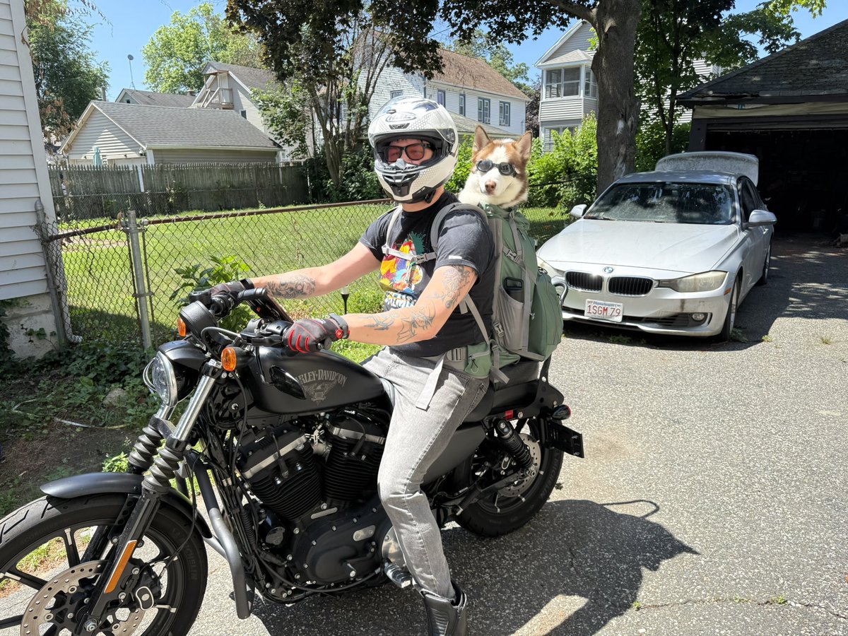Typical Sunday on mass pike: dog in a backpack on a motorcycle.