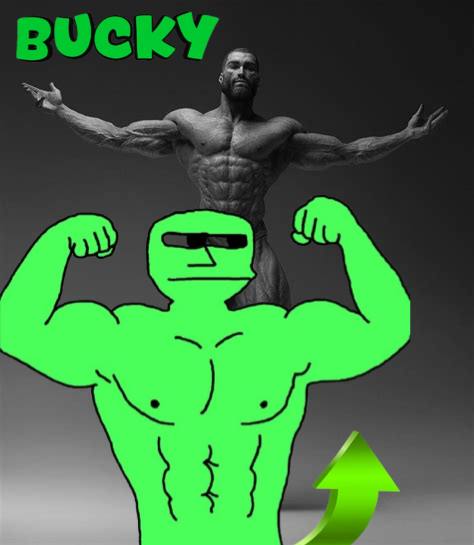 BUCKY tweet media