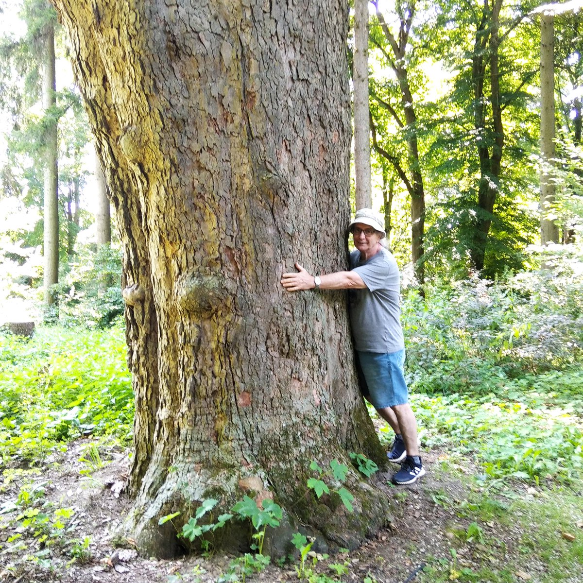 any54's tweet image. Mi ugyan nem jutottunk el a Balcsiig,és nem mentünk fel a Somlóra sem,de azért a Bakony 1-2 részét láttuk tegnap.Bakonybél,Erdők háza,Csillagda,Monostor,és 1 cica.Csodajó Délután Bakonyszentlászló,Cuha völgye.A patakon száraz lábbal keltünk át, most éppen ki van száradva.