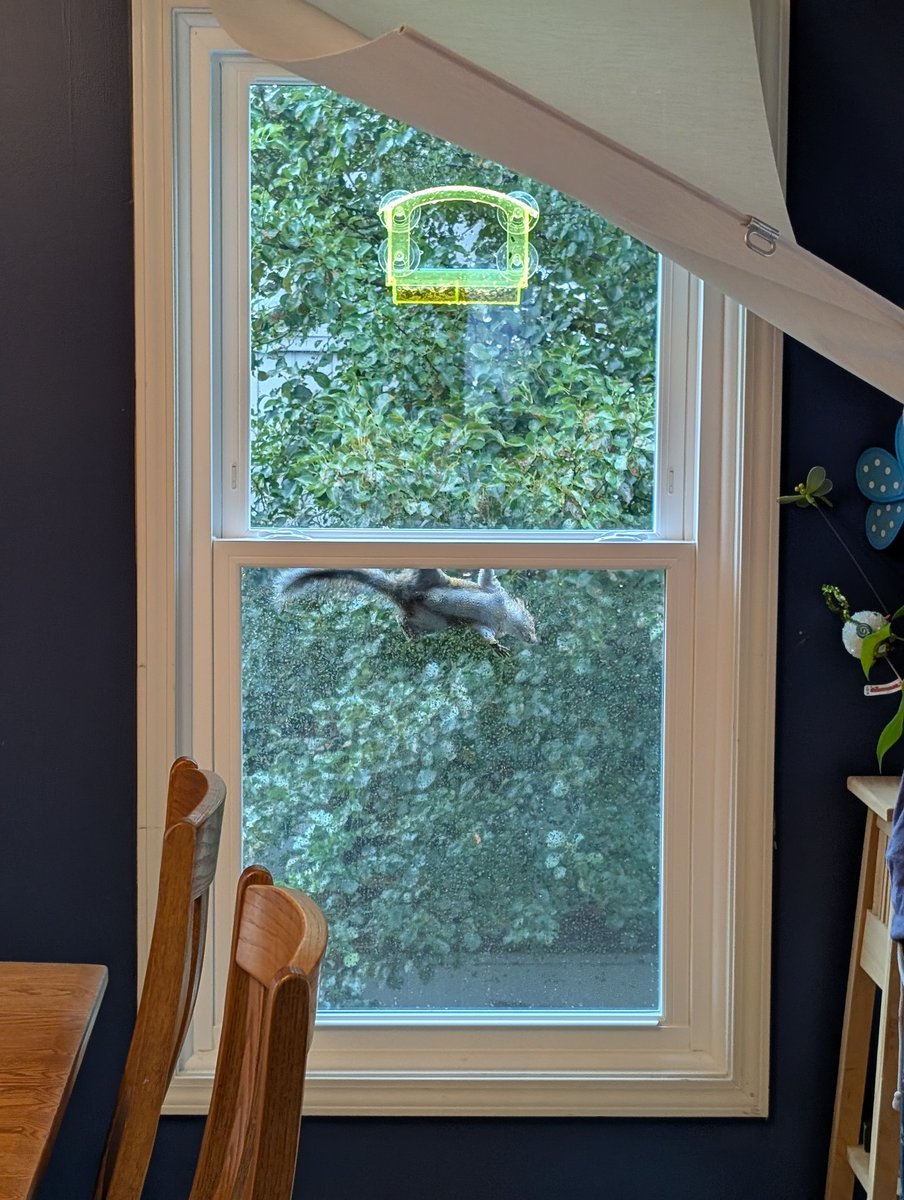 Austin Reed tweet media