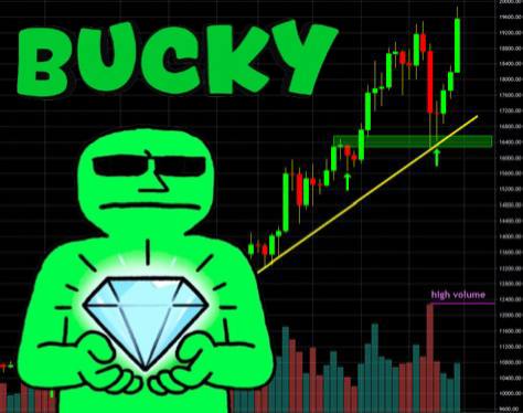 BUCKY tweet media
