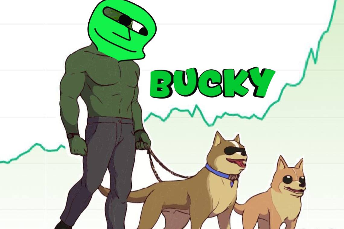 BUCKY tweet media