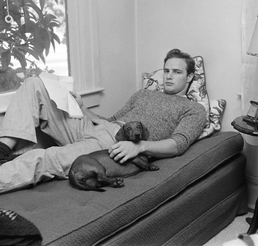 DachshundxSol's tweet photo. All the legends roll with a dachshund