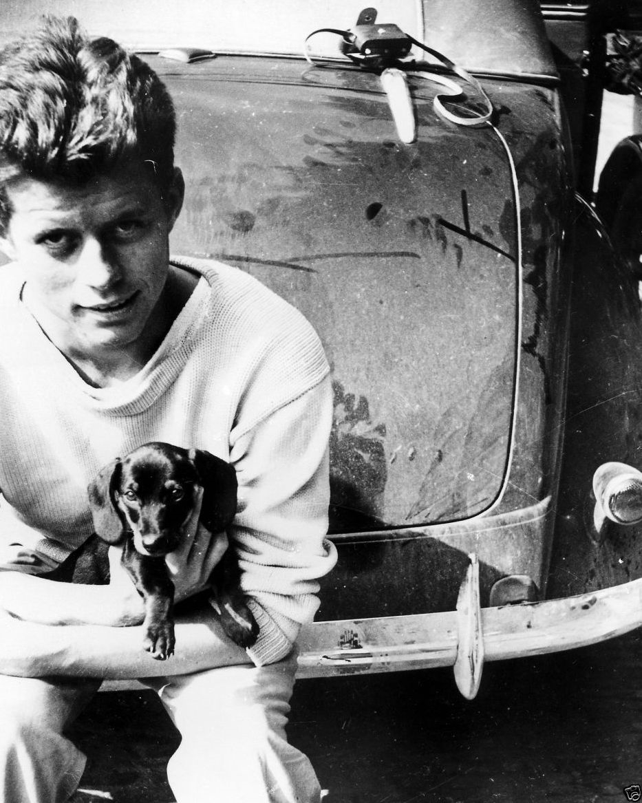 DachshundxSol's tweet photo. All the legends roll with a dachshund