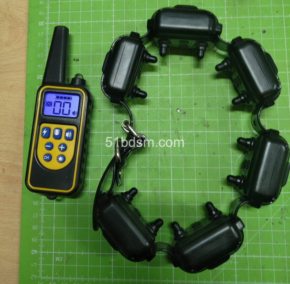 360度暴力电击⚡️项圈