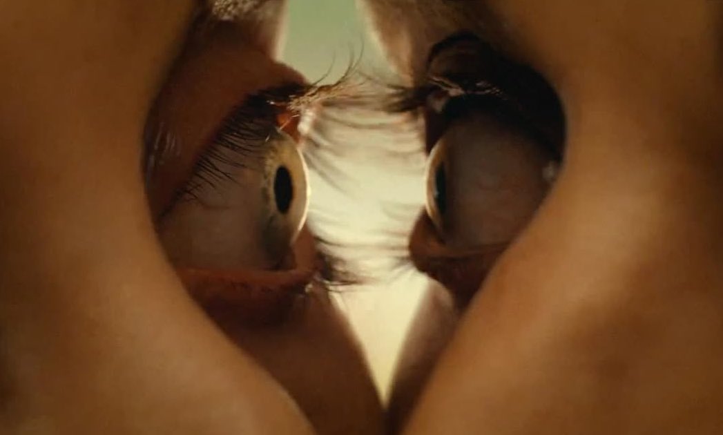 Original horror films are dominating 2025:

• Sinners — 97%
• Weapons — 95%
• Together — 90%
• Bring Her Back — 89%