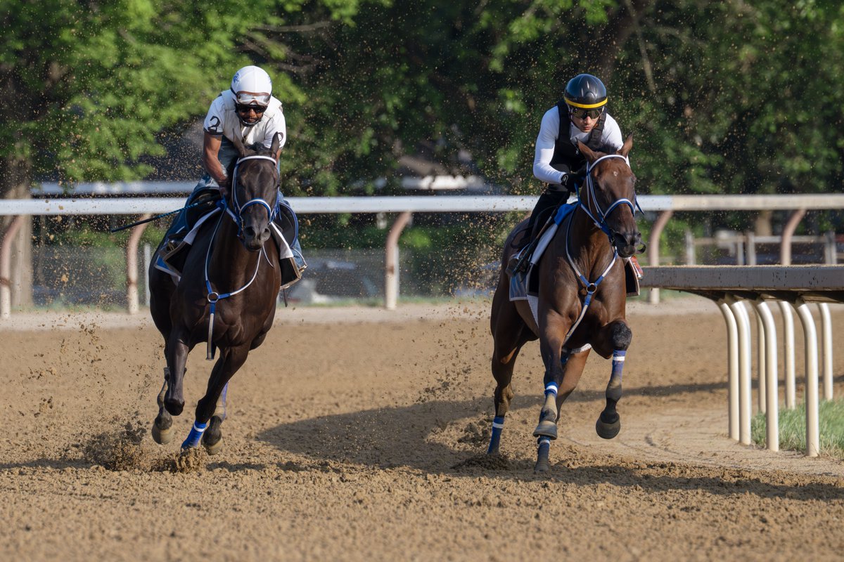 Erica Miller tweet media