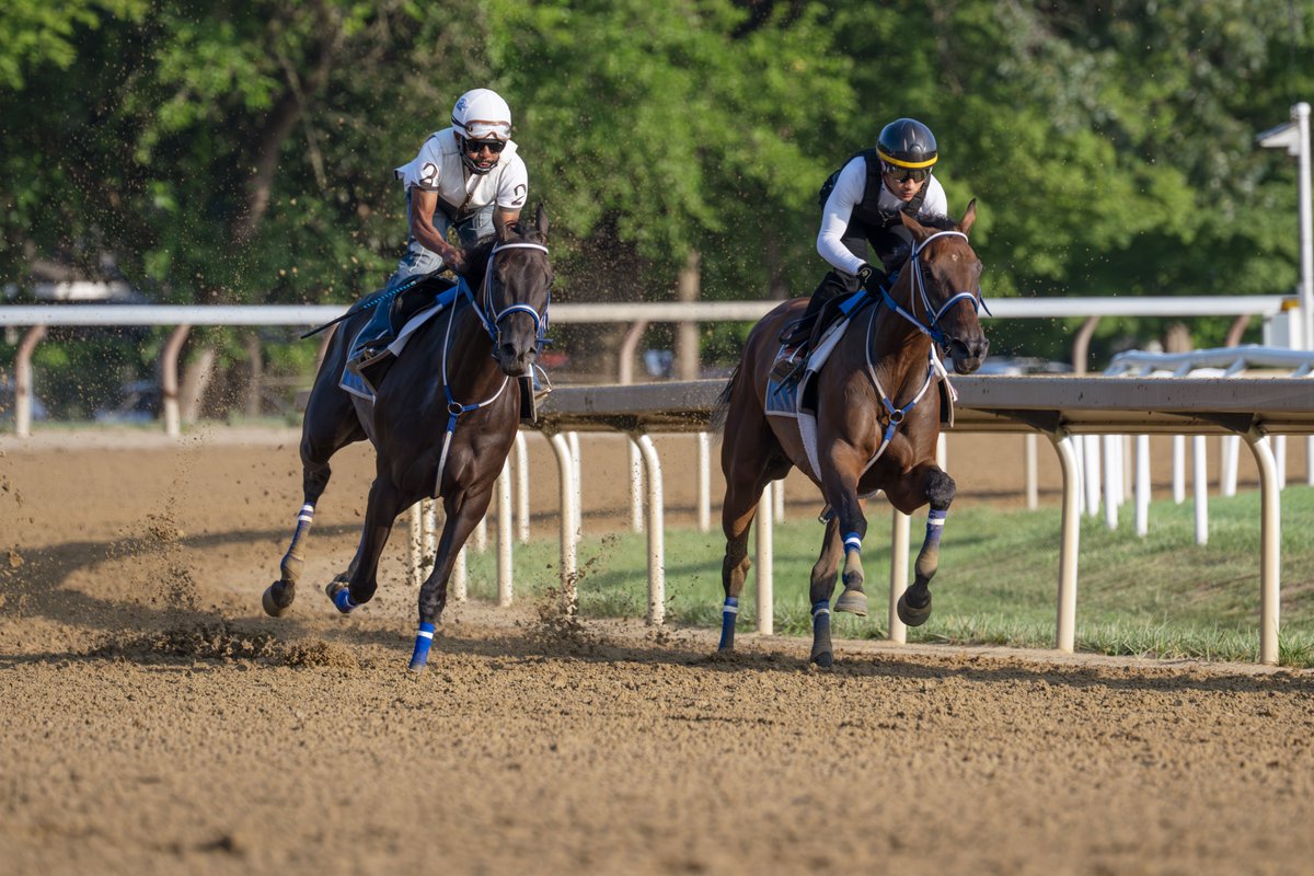 Erica Miller tweet media