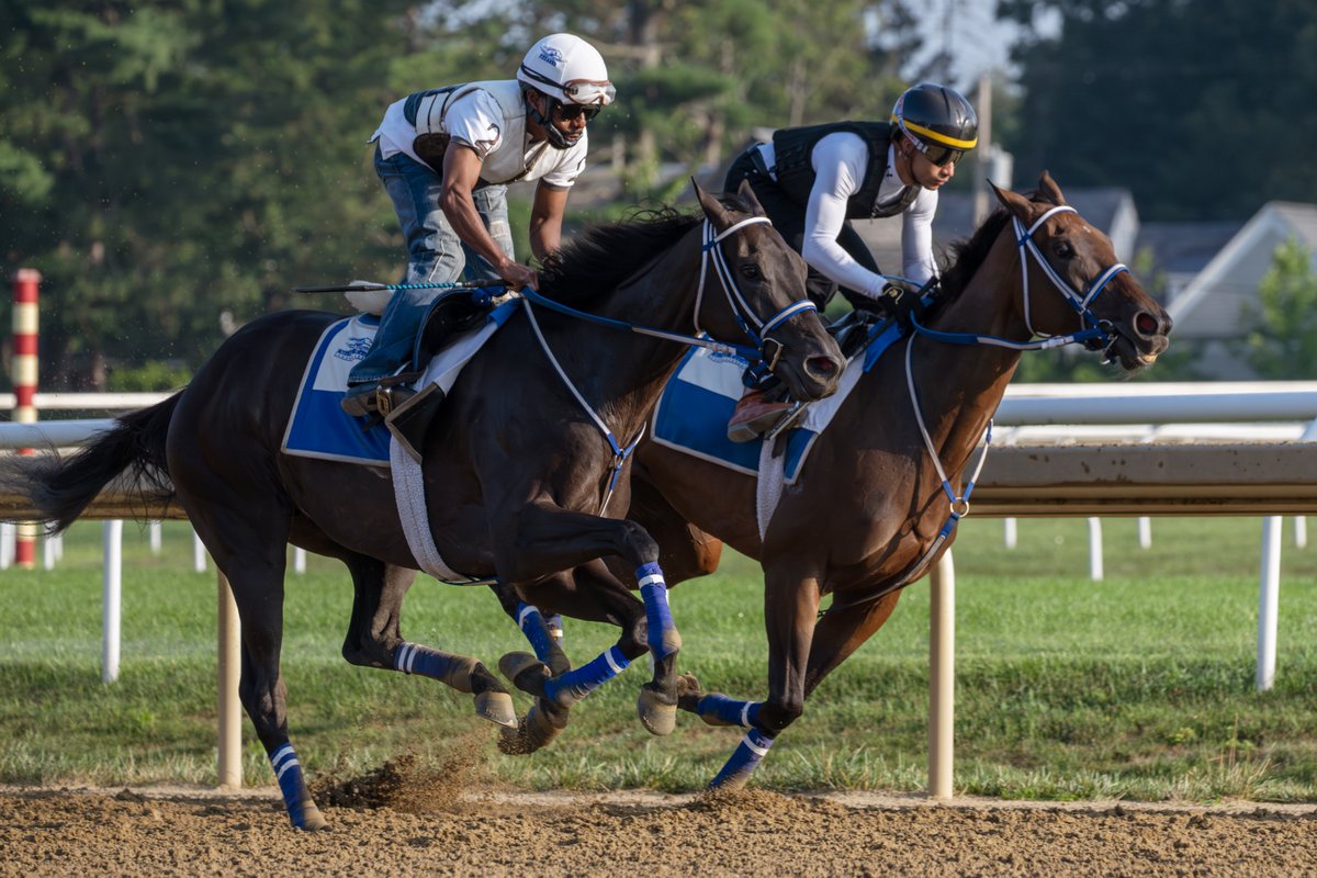 Erica Miller tweet media