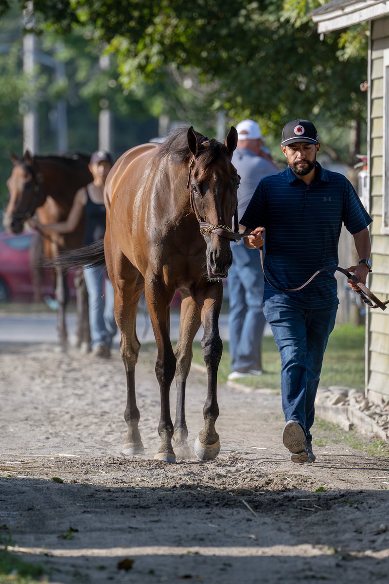 Erica Miller tweet media