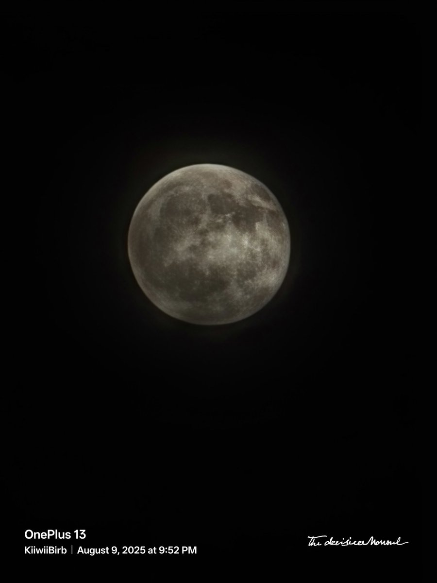 Kiwi Birb tweet media