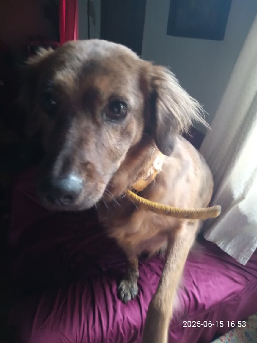 💗 #QueenElizabeth💗 tweet media