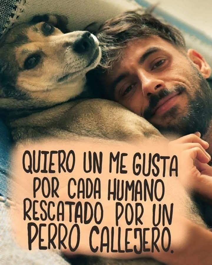 Seguro que tú eres uno de ellos❤️🐾🐾🐕🐶😺
