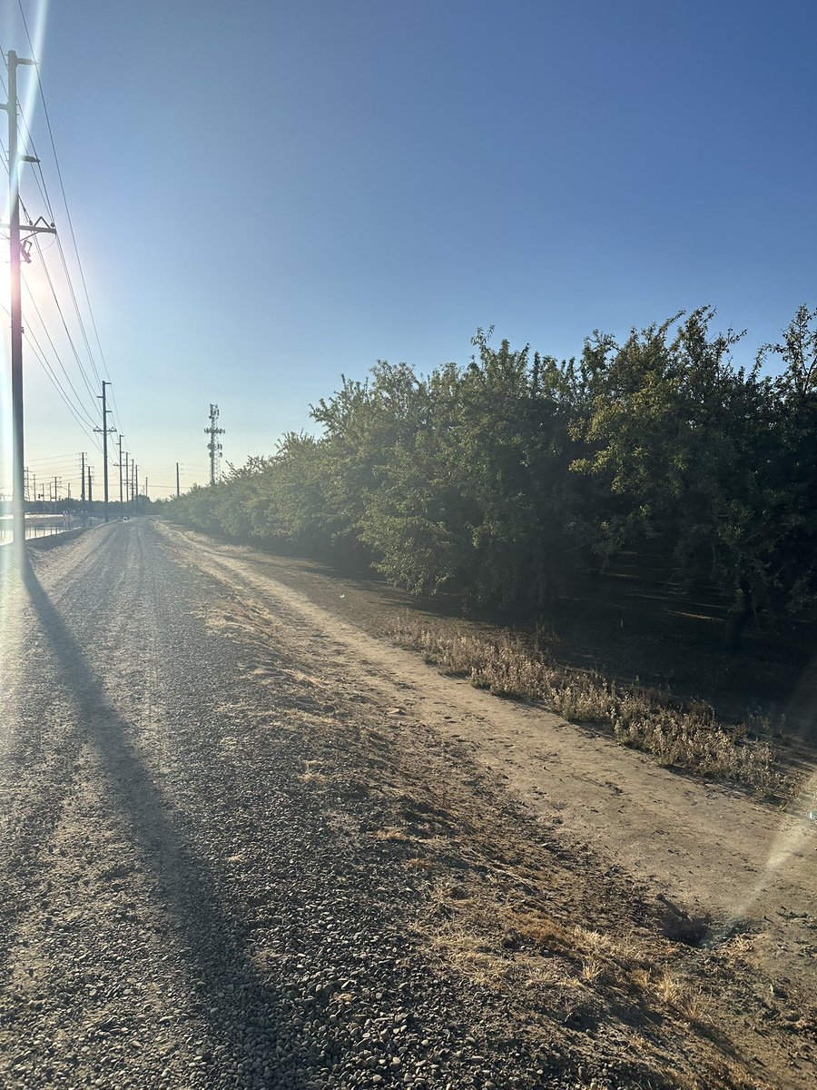 Young4assembly's tweet photo. This was the view for my morning run. It’s a reminder of how vital water and agriculture are to California’s economy and way of life. We must protect these resources so our farmers can keep feeding the nation and driving our communities forward. 🚜💧 #agriculture #SD4 #california