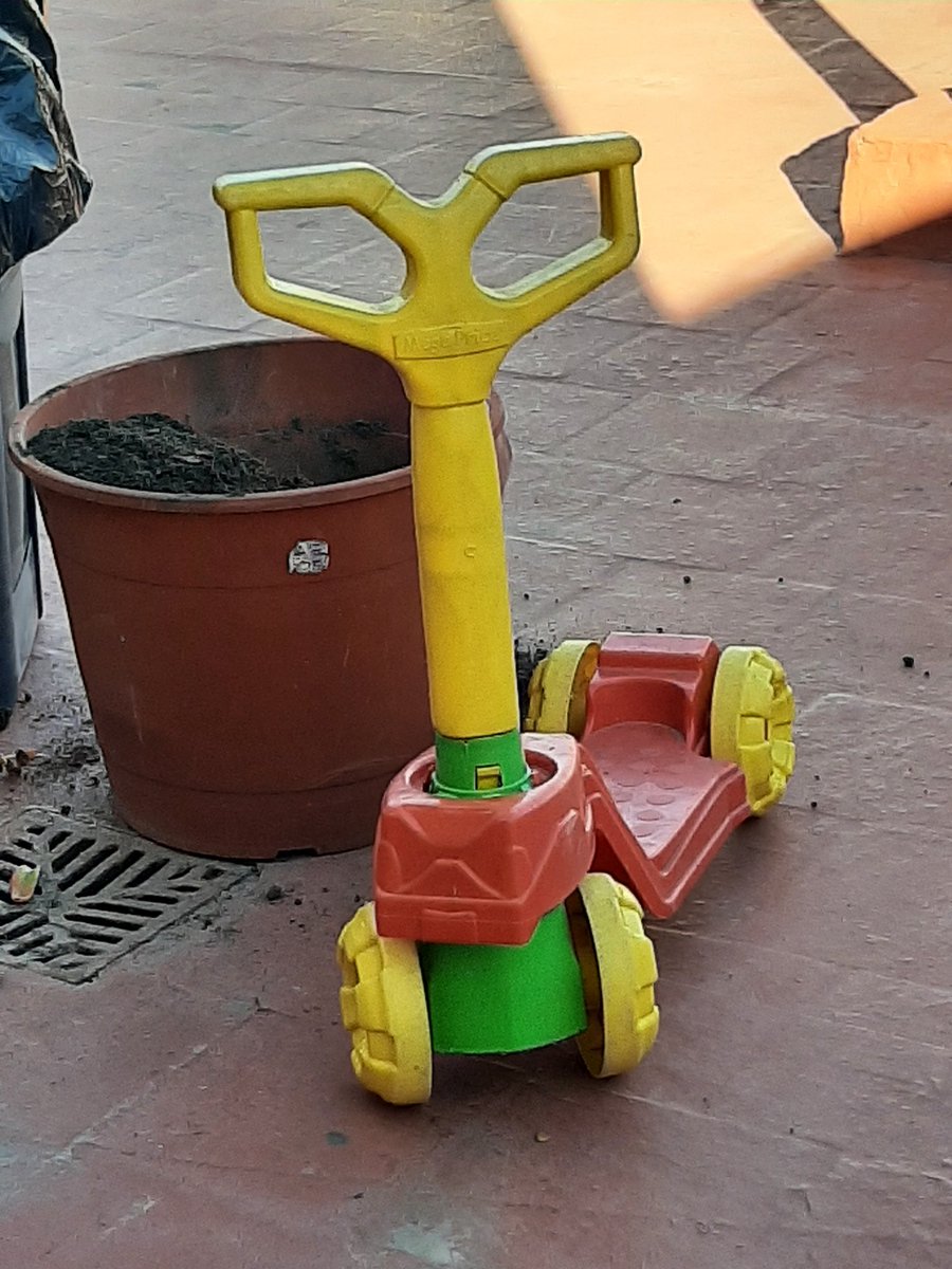 TapaMartin's tweet photo. Lo usé para mover la maceta y me sentí McGyver
#McGyver (?) https://t.co/lDuelxmjnh