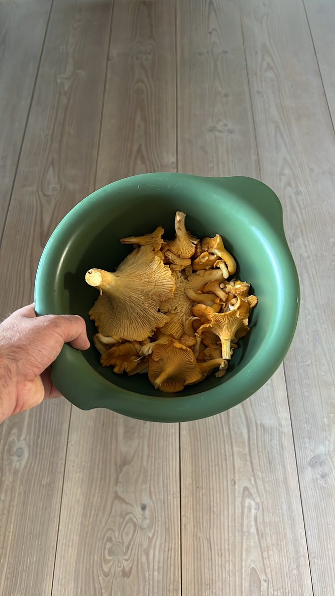 Matinbum tweet media