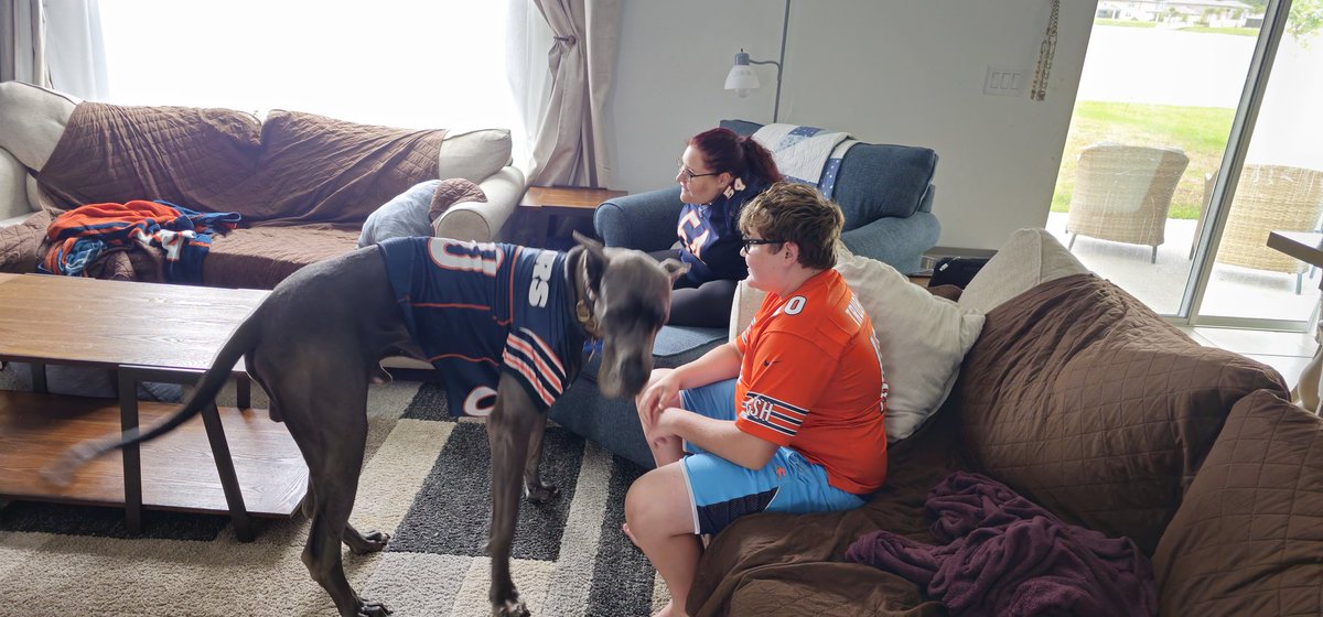 jlevija87's tweet photo. My kids are ready for for Bears football! Who would have thought they have a jersey for great danes!
#bears #chicagobears #beardown #DaBears #nfl #kickoff #preseasonNFL https://t.co/ngP6U7xlNc