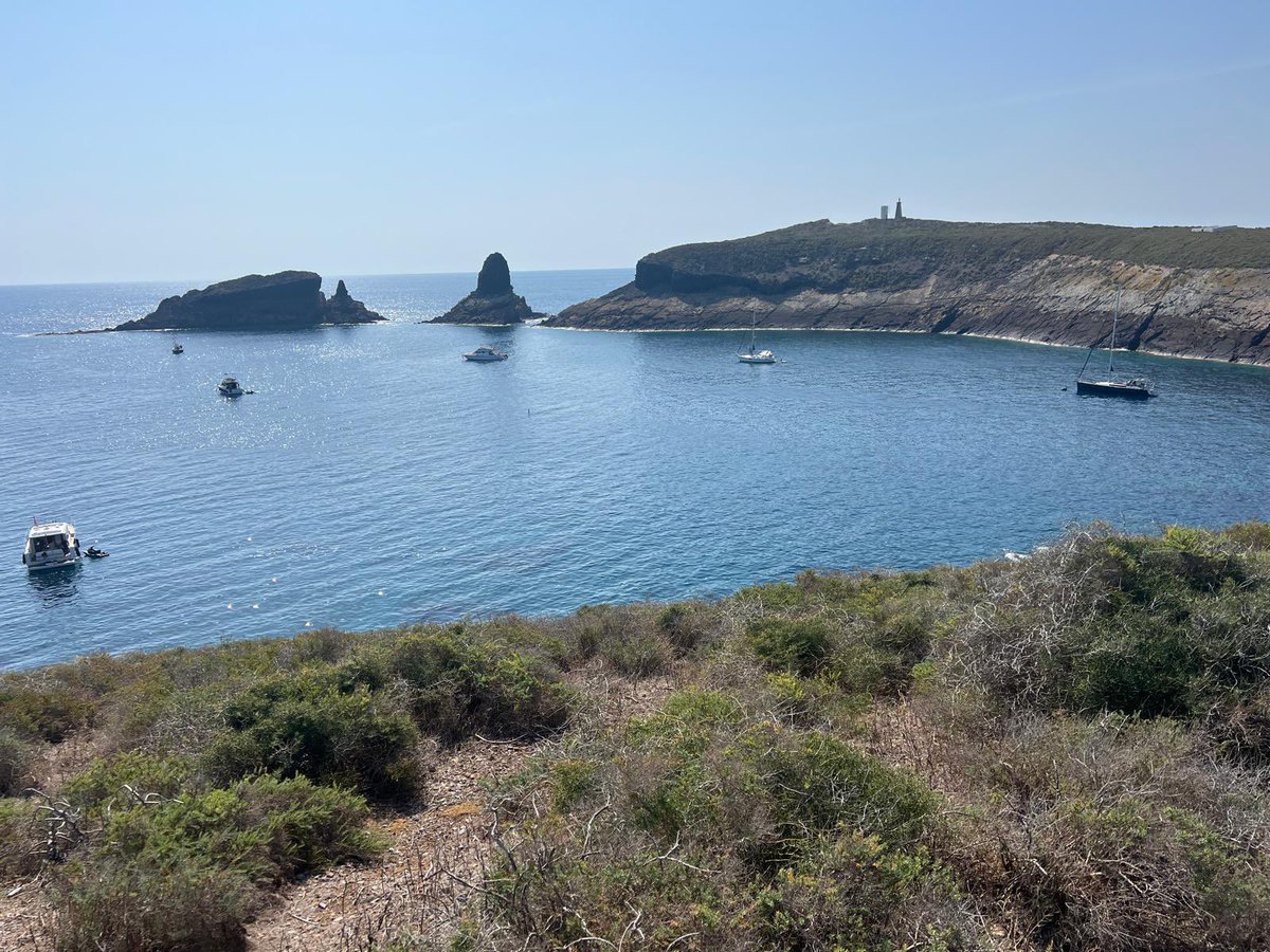 grallariatours's tweet photo. Jornada a les illes Columbretes. Paradís desconegut i refugi d’endemismes i colònia d’espècies marines com l’ocell de tempesta, la baldriga cendrosa. El més vistós, el falcó de la reina, que aprofita la migració de tardor per criar. Fotos de @Kinshasho https://t.co/OqbaYKWIcT