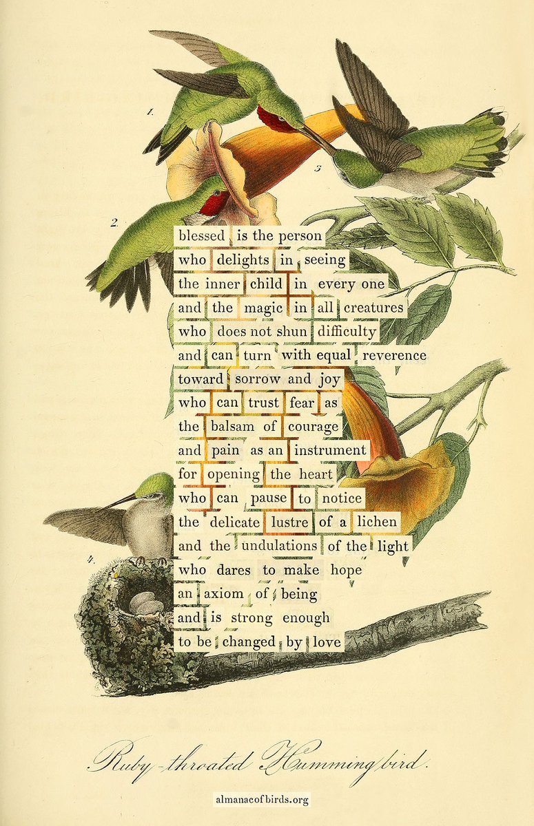 themarginalian's tweet photo. A favorite #birddivination – one of the last I made before the deck of 100 (which you can find https://t.co/xpo04XE701) went to the printer. Available as a stand-alone print, too: https://t.co/Jiv1AE0A5Q https://t.co/kbN1ntTLKc