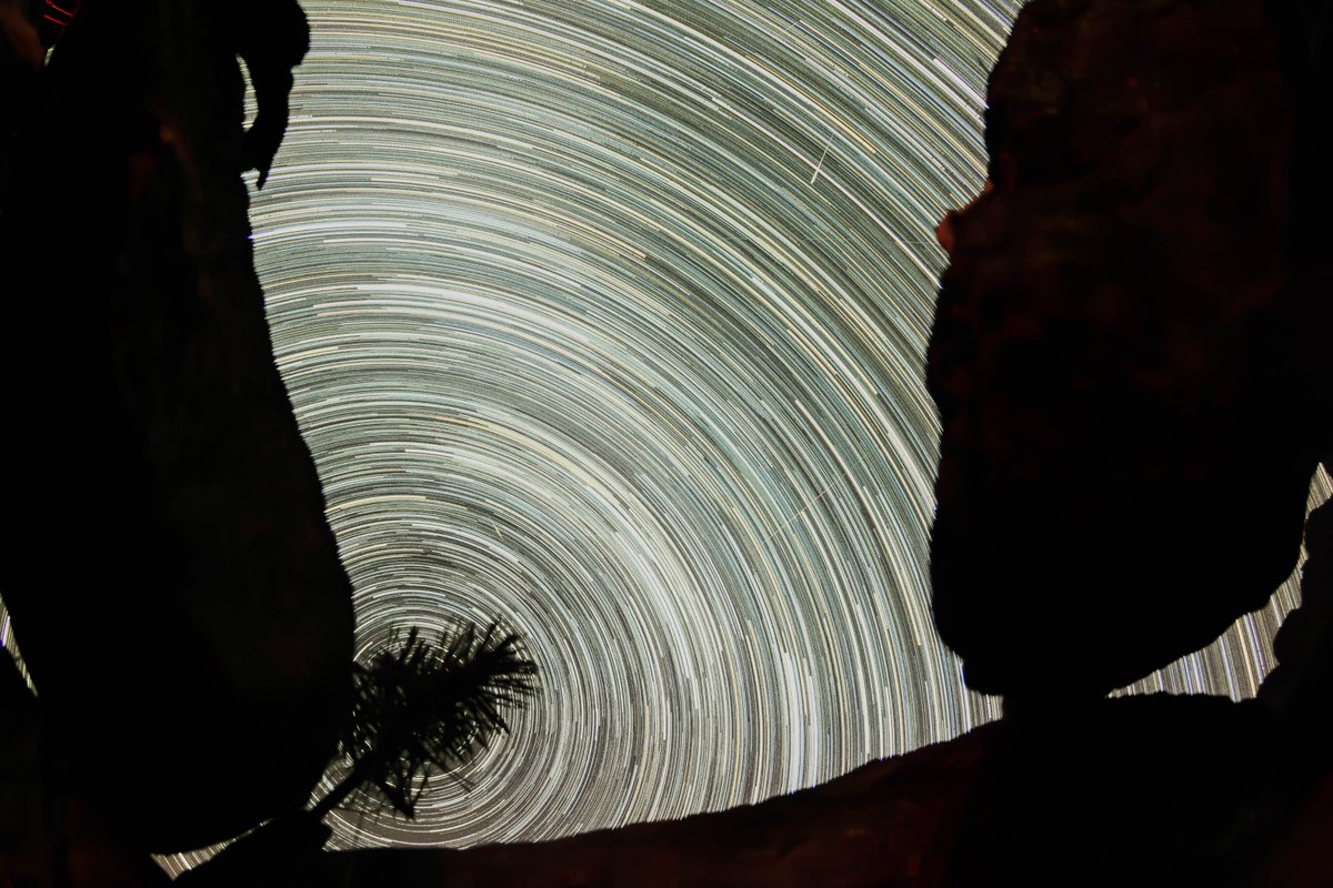 Adrian Golemis tweet media