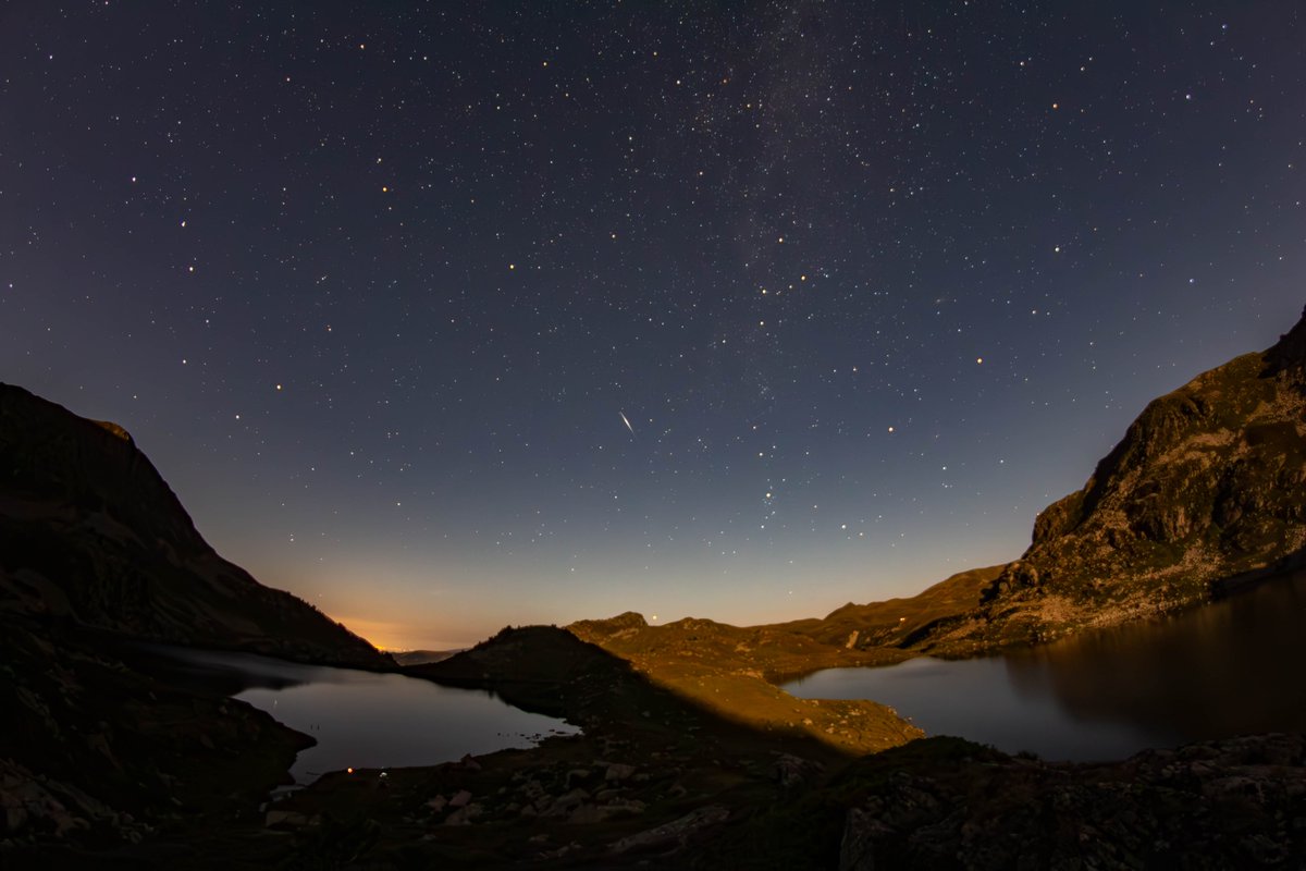 Adrian Golemis tweet media