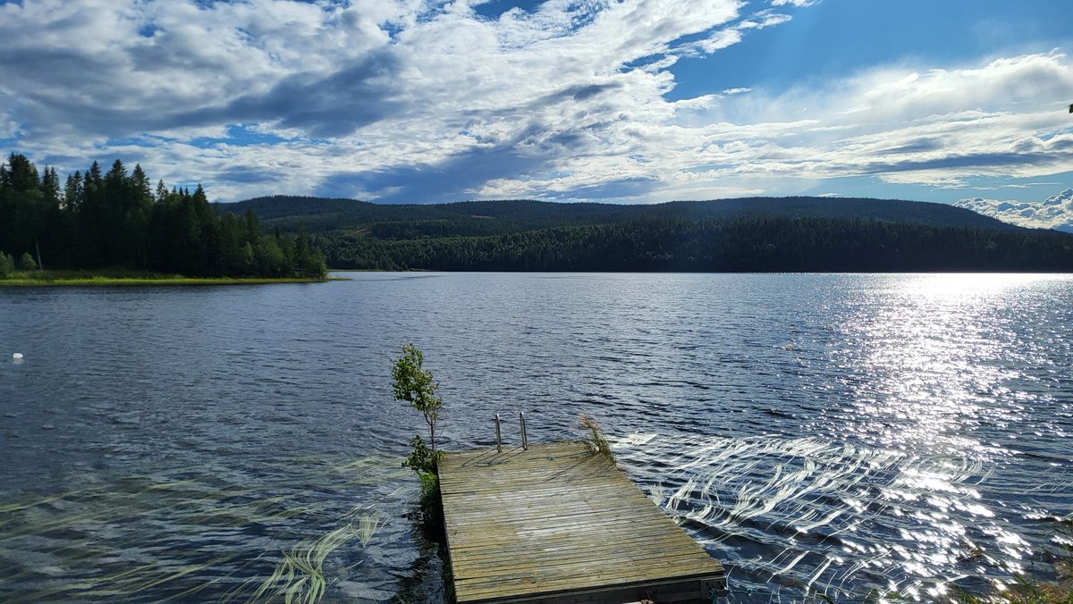 Old School Investor 🇩🇪🤝🇺🇦 tweet media