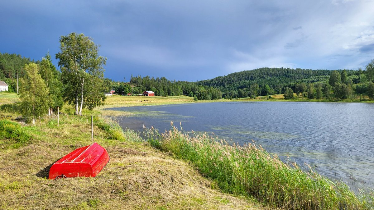 Old School Investor 🇩🇪🤝🇺🇦 tweet media