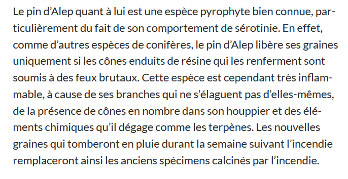 hellbet's tweet image. Il n'y a pas qu'en Gironde : dans le secteur de Lagrasse, celui affecté par le méga-feu du 7 août, 54% de la forêt est constituée de plantations de résineux dont 26% de pin d'Alep, l'espèce la plus ignifiable de toutes (IFN11, 1990). 

Ce détail - passé sous silence par les…