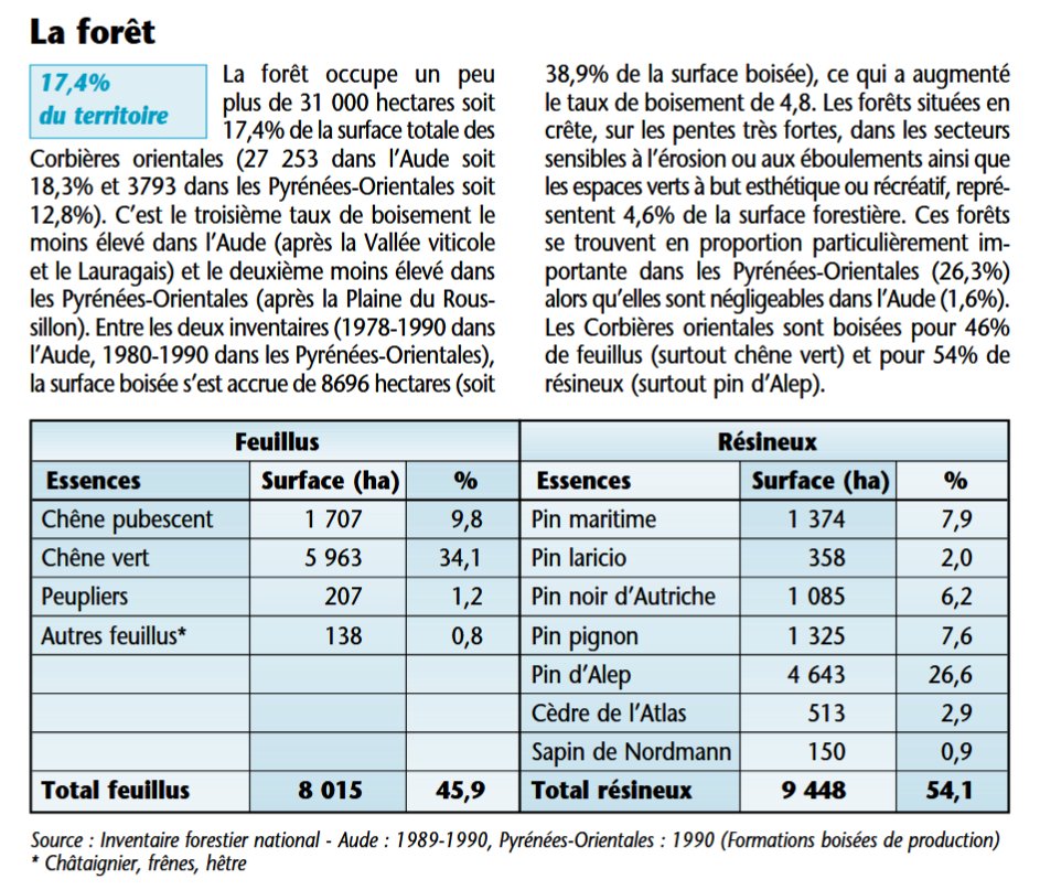 hellbet's tweet image. Il n'y a pas qu'en Gironde : dans le secteur de Lagrasse, celui affecté par le méga-feu du 7 août, 54% de la forêt est constituée de plantations de résineux dont 26% de pin d'Alep, l'espèce la plus ignifiable de toutes (IFN11, 1990). 

Ce détail - passé sous silence par les…