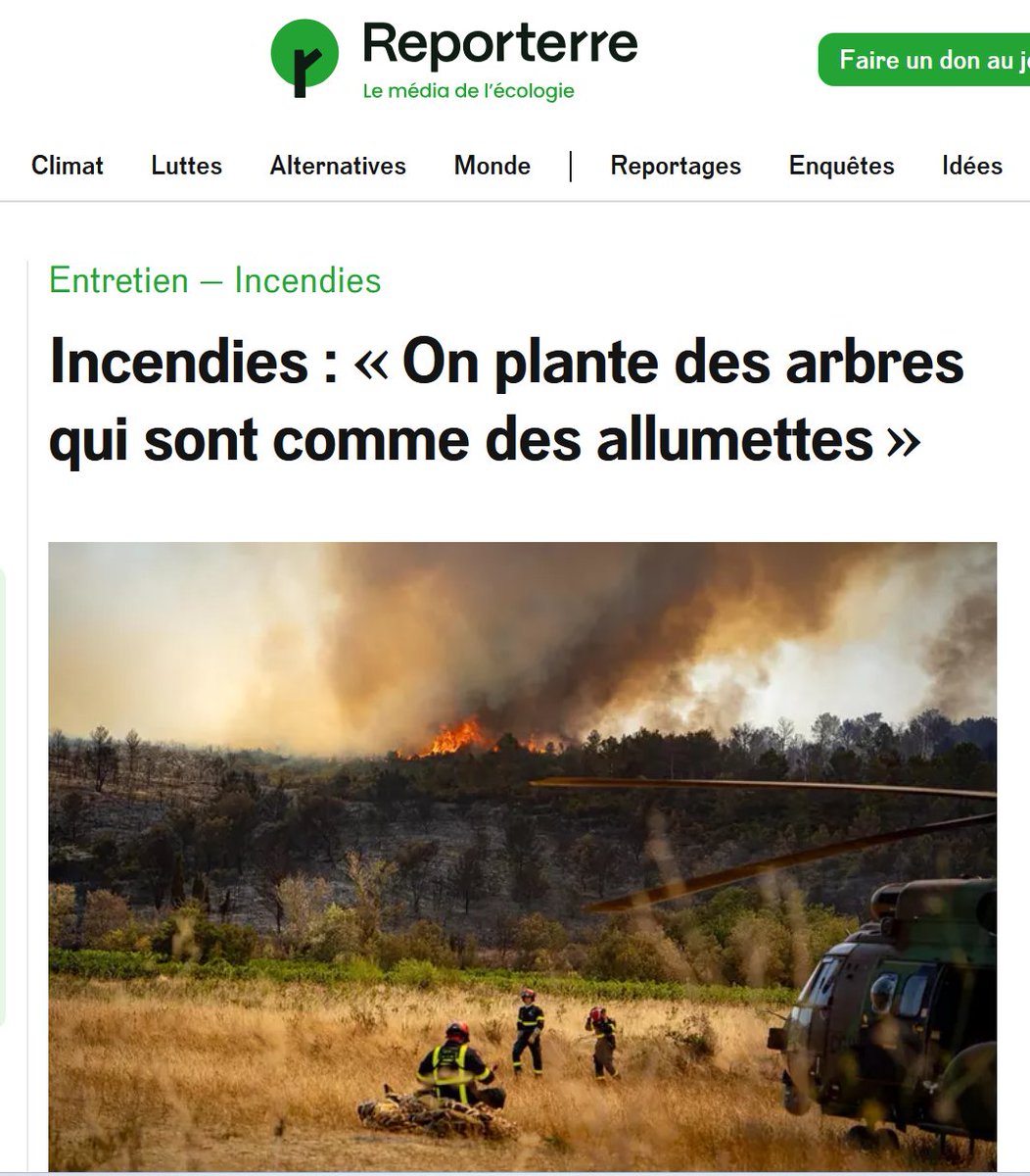hellbet's tweet image. Il n'y a pas qu'en Gironde : dans le secteur de Lagrasse, celui affecté par le méga-feu du 7 août, 54% de la forêt est constituée de plantations de résineux dont 26% de pin d'Alep, l'espèce la plus ignifiable de toutes (IFN11, 1990). 

Ce détail - passé sous silence par les…