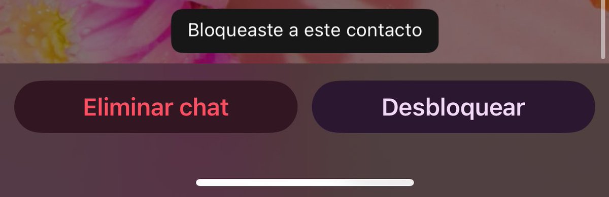 MaferHappen's tweet photo. Jamás pensé que al fin hacer esto me daría tanta paz 🥰 https://t.co/PFzLPWvNjf