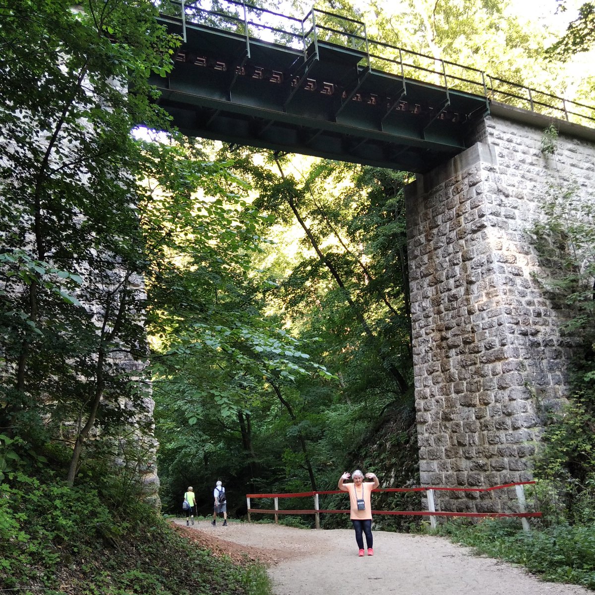 any54's tweet image. (Az előző tweet-hez tartozó cica.) Mi nem csak gyalogoltunk/sétáltunk, hanem felmentünk egy naaagyon magasan levő hídra, és le is jöttünk. Az egész napos jövés-menés kb. 9 km volt. Picit azért elfáradtunk, bírtunk aludni éjszaka.