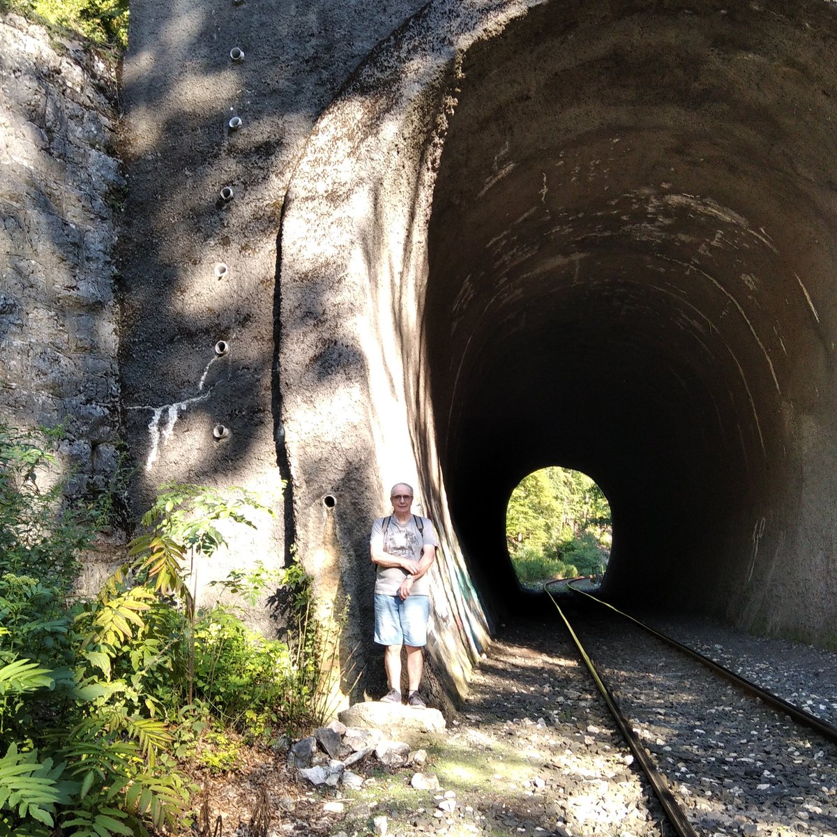 any54's tweet image. (Az előző tweet-hez tartozó cica.) Mi nem csak gyalogoltunk/sétáltunk, hanem felmentünk egy naaagyon magasan levő hídra, és le is jöttünk. Az egész napos jövés-menés kb. 9 km volt. Picit azért elfáradtunk, bírtunk aludni éjszaka.