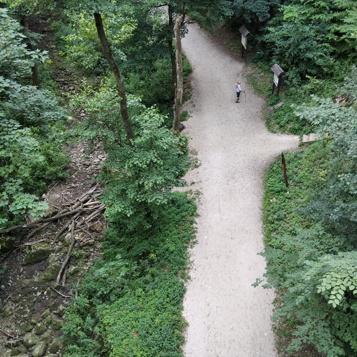 any54's tweet image. (Az előző tweet-hez tartozó cica.) Mi nem csak gyalogoltunk/sétáltunk, hanem felmentünk egy naaagyon magasan levő hídra, és le is jöttünk. Az egész napos jövés-menés kb. 9 km volt. Picit azért elfáradtunk, bírtunk aludni éjszaka.