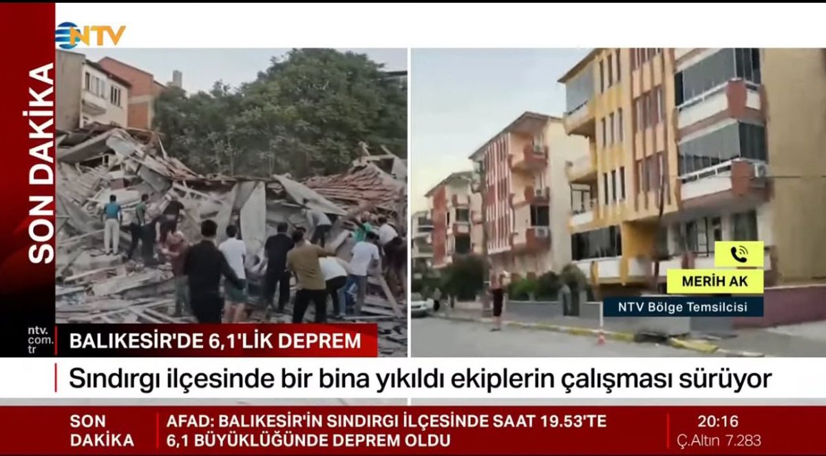 dilara tweet media