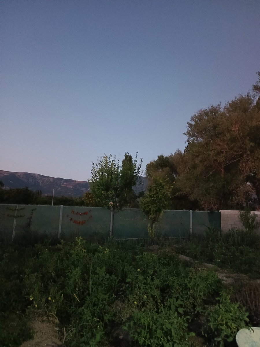 Anlık