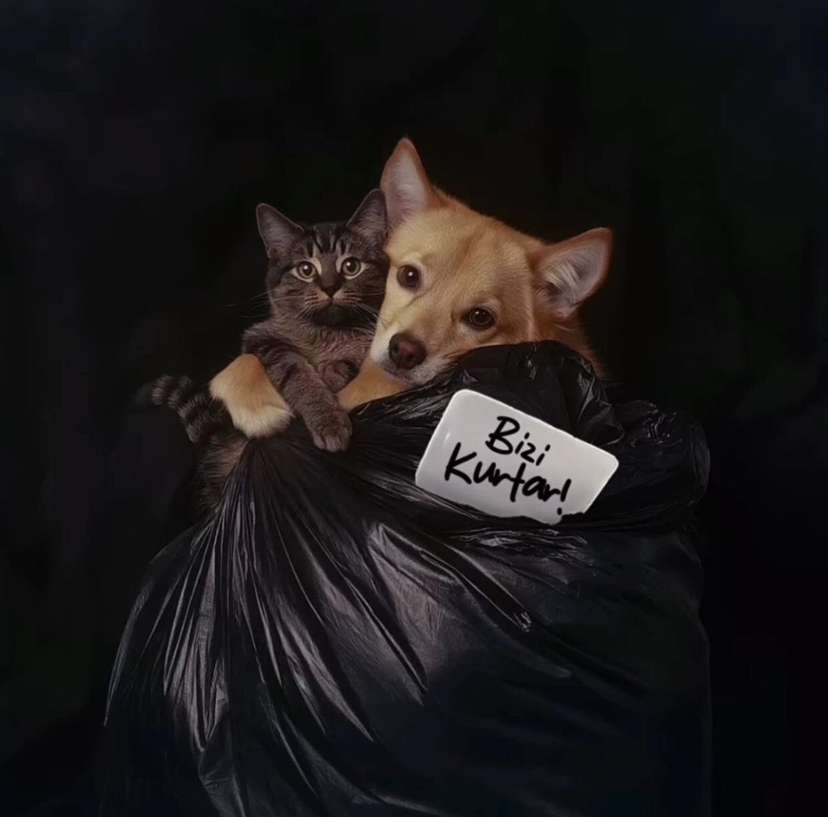 İnsanoğlu korktun mu?
Canın,
Ailen,
Evin ne kadar kıymetli,
hayatın gözlerinin önünden geçti mi?
Sen yaratılmışlara merhamet et ki ALLAH da sana merhamet etsin!

#balıkesir #deprem 
#TürkiyedeKatliamVar