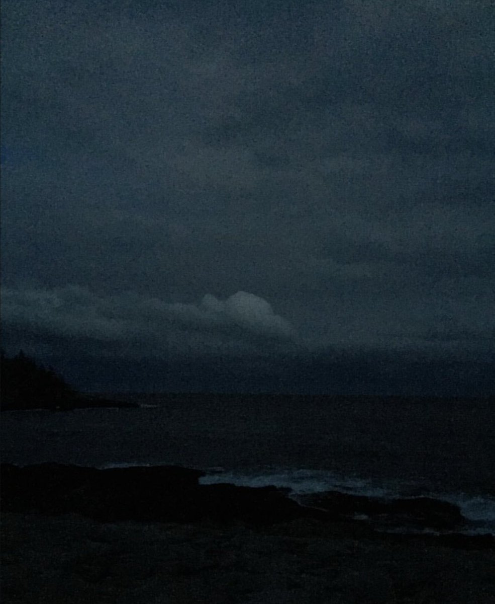 Anne Louise Avery tweet media