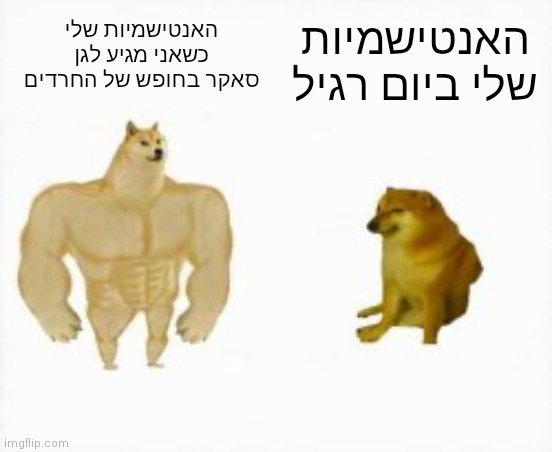 ארנב ידי זהב (@rabbit_goldi) on Twitter photo 