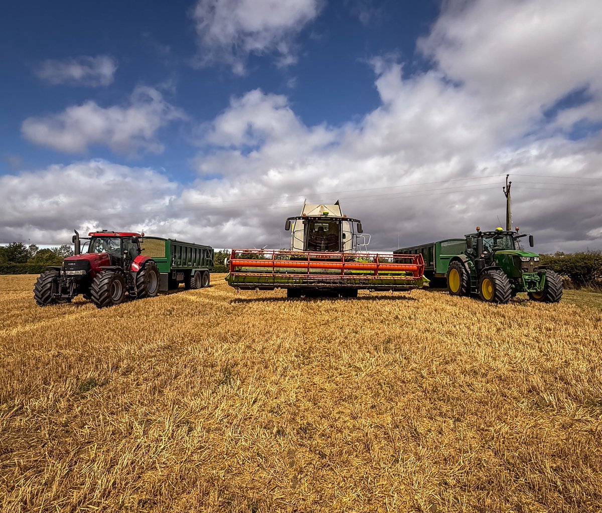 Andrew Shaw tweet media